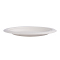 Compostable Sugarcane Pulp Molding Bagasse Tableware plate